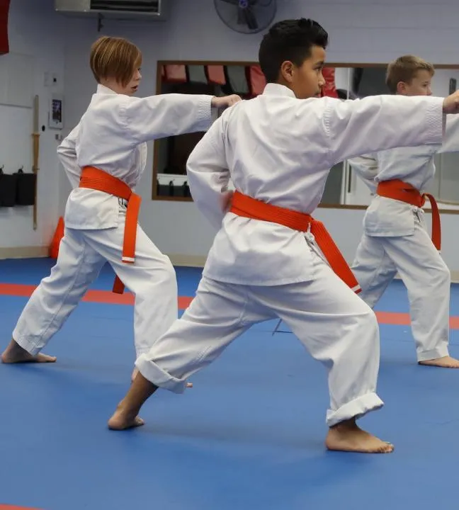 Young karate student practicing orange belt kata form